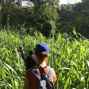 Meet your Posher, Clarity